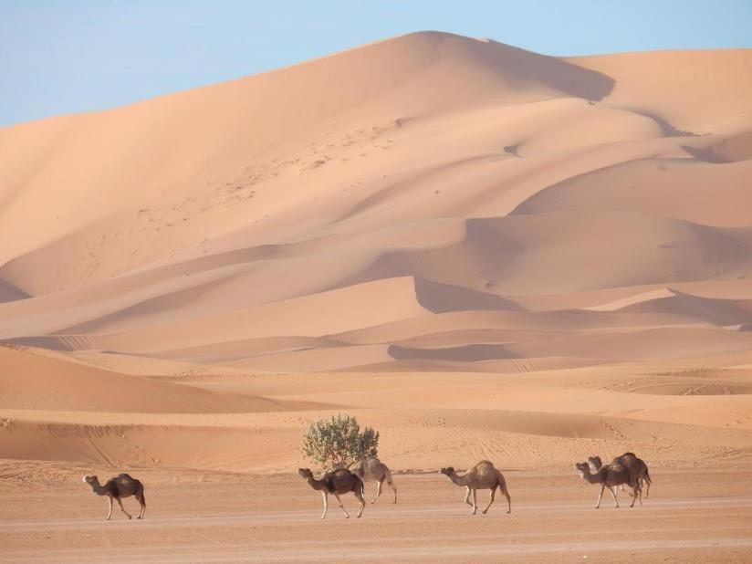 Auberge Sahara Garden Lac Yasmins Exterior foto